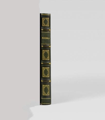 SAINTINE (X.-B.). Picciola. P., Marchant, 1843. Gr
