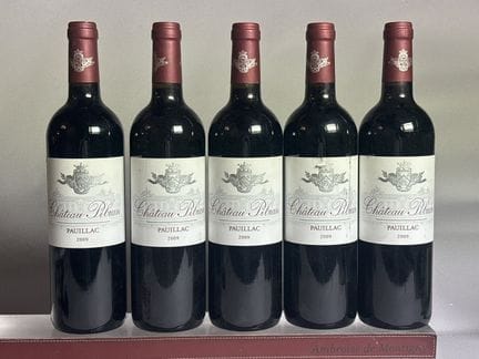 5 Bottles of Château PIBRAN 2009 - Pauillac
 1 Lab