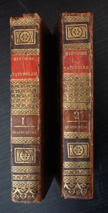 [BUFFON]. The Wonders of the Natural History of Qu