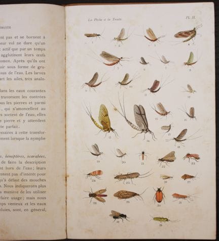 AMBLEVE (Henri d’). A Practical Treatise on Trout 