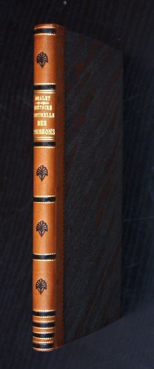 DRALET (Etienne-François). Considerations on the N