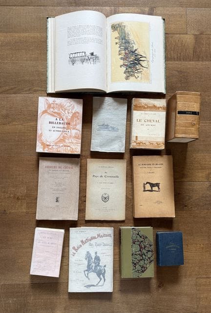 HORSEBACK RIDING - HORSES - 12 books:
- CUROT (Edm