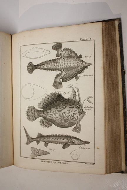[ENCYCLOPEDIE - PECHE].  Collection of plates from