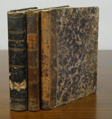 HORTICULTURE - MANUSCRIPT.
Elementary, Theoretical