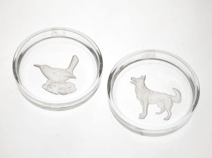 DOS POSAVASOS de cristal transparente y parcialmen