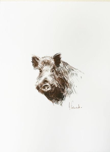 Arnaud FREMINET (Né en 1961)
"Sanglier"
Fusain sur