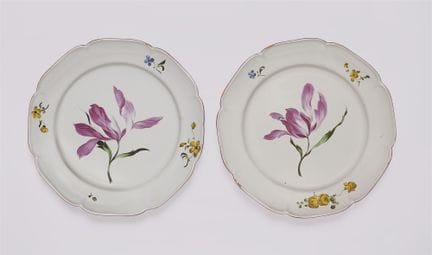 Strasburgo
Due piatti con tulipano aperto

Faience