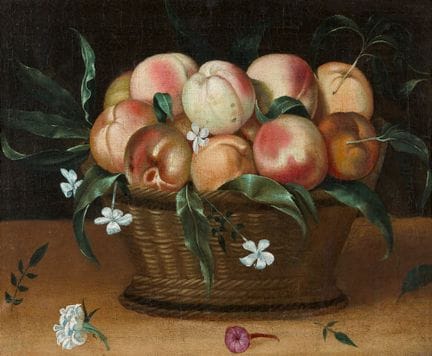 费德·加利齐亚

柳编篮中的桃子和茉莉花

布面油画（重新衬托）。32 × 40.5 厘米。

鉴定