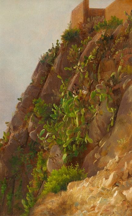 卡尔·莫根施特恩

卡普里岛的悬崖植被

纸本油画，裱于木板上。40.5 × 26 厘米。

鉴定报