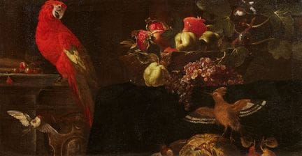 17世纪罗马画派大师

静物画：水果、一只鹦鹉及其他鸟类

布面油画（重新衬托）。64 x 122 