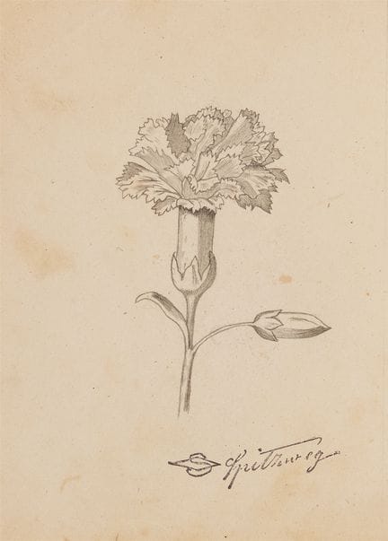 卡尔·施皮茨韦格

两本包含花卉素描的研究速写本

铅笔画。
每页均带有施皮茨韦格的印章。

来源
