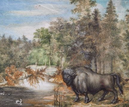 17世纪佛兰德画派大师

《林间风景与野牛》

纸本水彩画。10×12厘米。

来源
德国私人收藏。