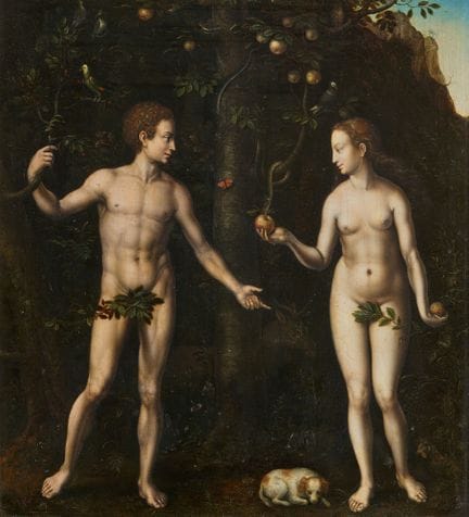 16世纪荷兰画派大师

《亚当与夏娃》（原罪）

木板油画。33.5 × 29.5 厘米。

来源

