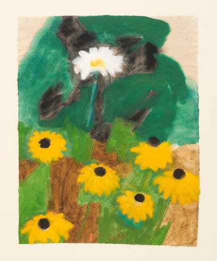 Ferdinand Gehr 1896–1996  
Aster e rudbeckie, 1982