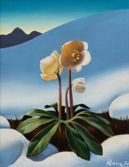 Ruggero Alfredo Michahelles, 1898-1976  
Flor de m