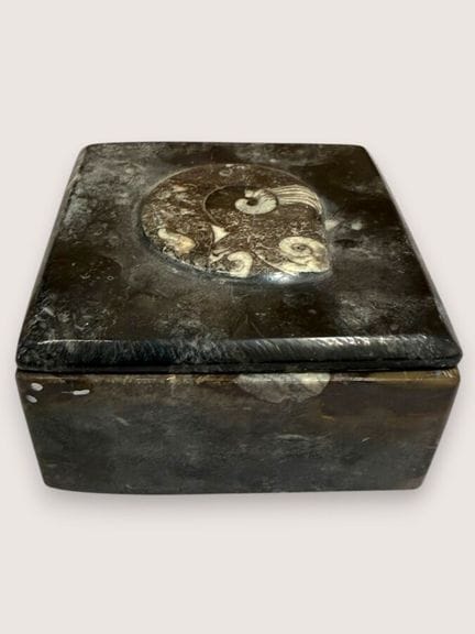 Square box made of fossilized stone, with a lid de