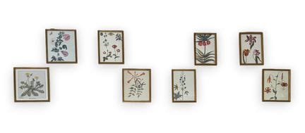 [FRAMED PIECES]
A large collection of flower repro