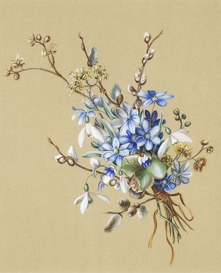 Botanica - Botanica Specifica

 

Mazzo primaveril