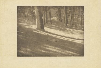 Fotografia

Coburn, Alvin Langdon

Alvin Langdon C