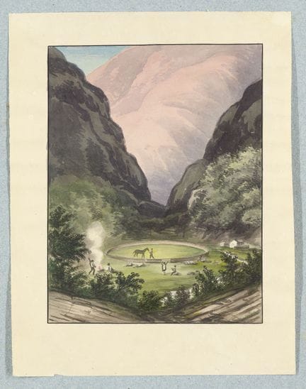 América del Sur

Martius, Carl Fr. Ph. von

Colecc