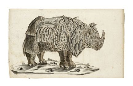 Dürer, da Albrecht

Disegno del "Rhinocerus". Into