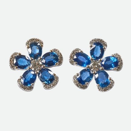 ORECCHINI CON ZAFFIRO E DIAMANTE:
Incantevole copp
