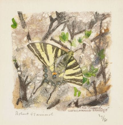 HAINARD, ROBERT (1906 Ginevra 1999): "Farfalla pos