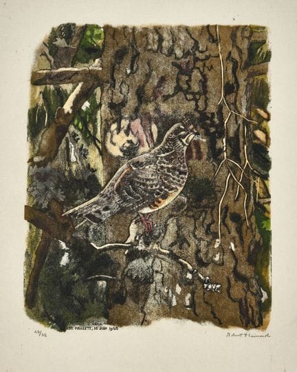 HAINARD, ROBERT (1906 Ginebra 1999): «Poule gélino