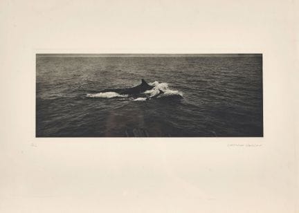 BURKHARD, BALTHASAR (1944 Berna 2010): Walkuh con 