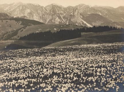 DREYFUSS, PAUL (1901 Zweisimmen 1980) : Konvolut,
