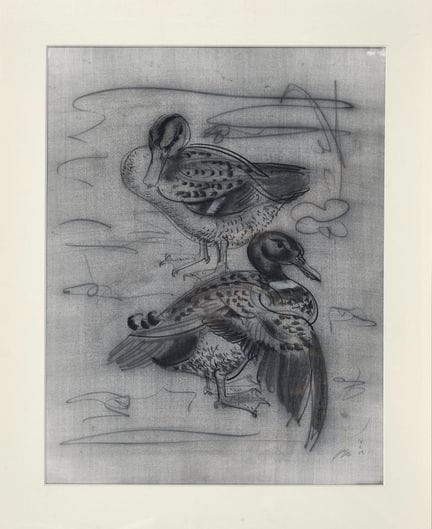 ERNI, HANS (1909 Lucerna 2015): Dos patos
Carbonci