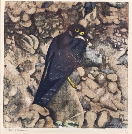 HAINARD, ROBERT (1906 Ginevra 1999) * : "Falco pel