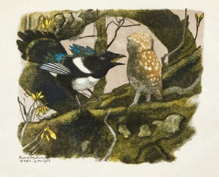 HAINARD, ROBERT (1906 Ginebra 1999): «Chevèche et 