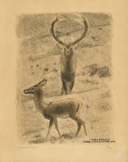HAINARD, ROBERT (1906 Ginevra 1999): "Cerf et bich