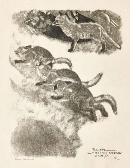 HAINARD, ROBERT (1906 Ginebra 1999): «Renardeaux s