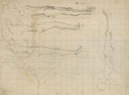 HODLER, FERDINAND (Berna 1853 - 1918 Ginevra): rac