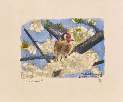 HAINARD, ROBERT (1906 Ginevra 1999): "Chadonneret 