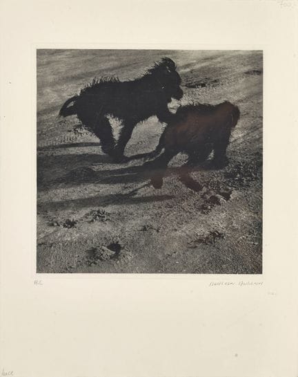 BURKHARD, BALTHASAR (1944 Berna 2010): "Chica e Tz