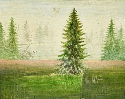 GRAF, URS (1942 Ermatingen 2016) : Sapins dans la 