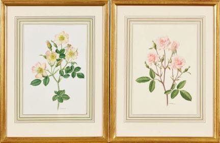 TRECHSLIN, ANNE MARIE (Milán, 1927 - 2007, Berna):