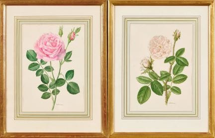TRECHSLIN, ANNE MARIE (Milán, 1927 - 2007, Berna):
