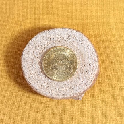 Moneta d'oro da 20 dollari "Liberty Head - Double 