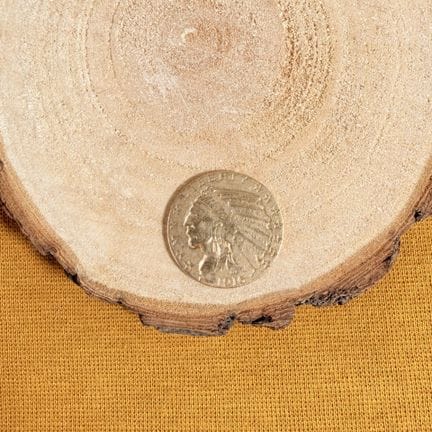 Moneta da 5 dollari in oro (1916) "Indian Head"
Pe