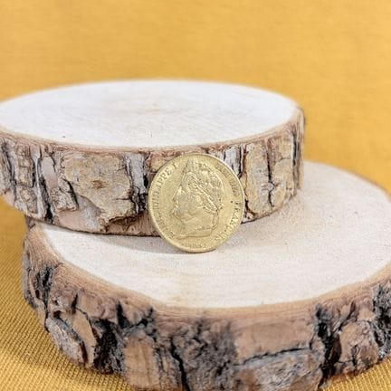 Moneta da 20 franchi d'oro di Luigi Filippo I (184