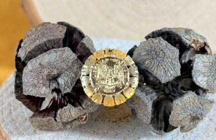 Moneta da 1/4 di peso d'oro (1867) incastonata in 