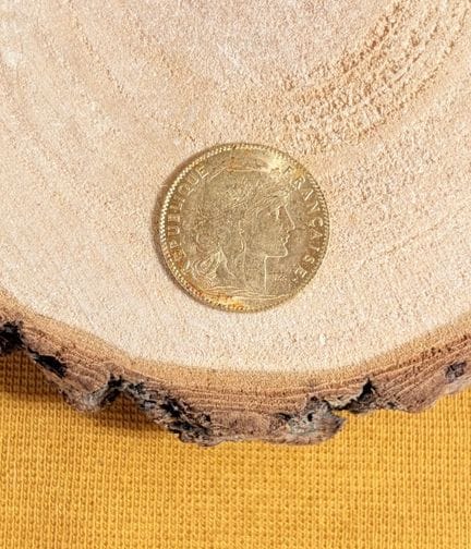 Moneta da 10 franchi d'oro (1899)
peso: 3,2 g
Non 