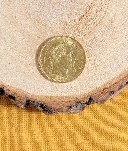 Moneta da 20 franchi d'oro (1865)
Peso: 6,4 g
Non 
