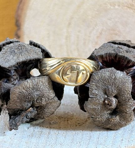 Anello con sigillo di forma irregolare in oro gial