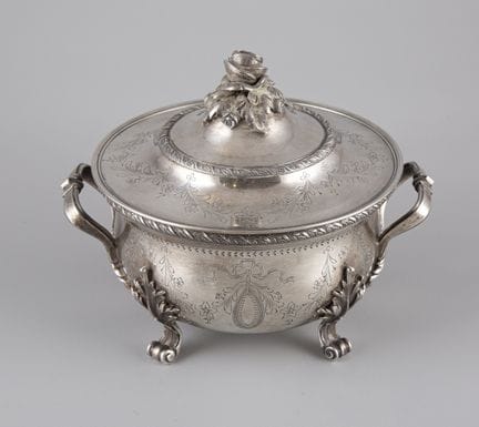 Recipiente para verduras con cubierta de plata ext