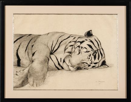 Maurice PROST (1894-1967) : Le tigre couché. Dessi